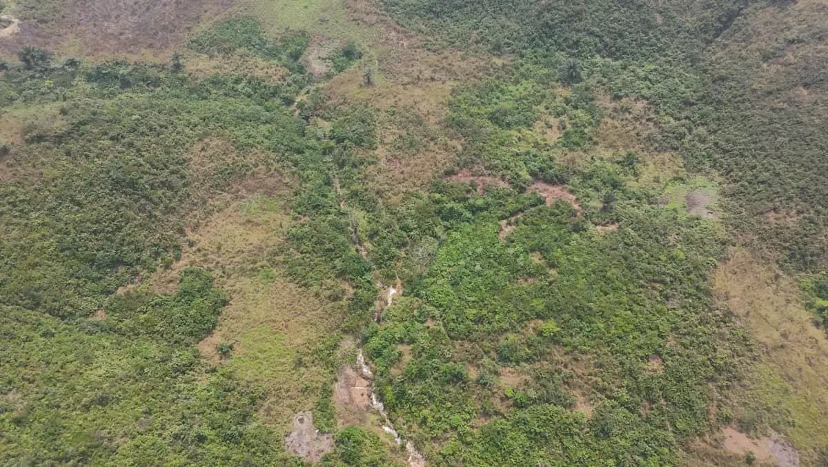 Vue de drone à la verticale d'un terrain à Maluku : une ravine et un filet d'eau traversent la végétation